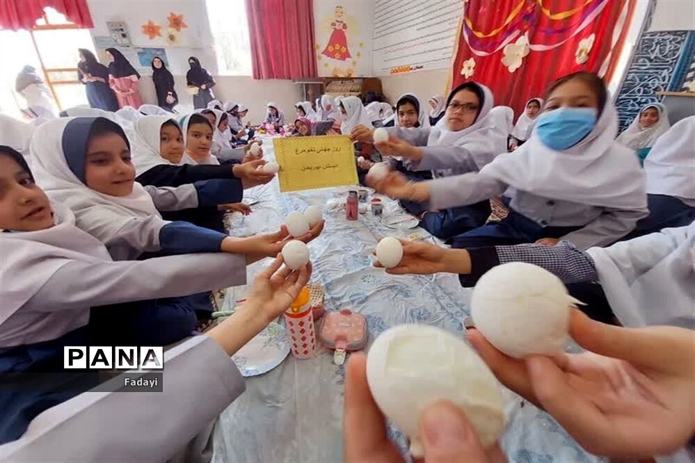 همه چیز درباره سوپرغذایی به نام تخم‌مرغ‌