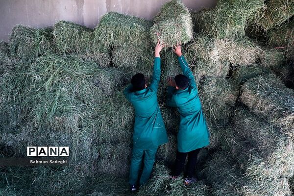 هنرستان کشاورزی پسرانه شهید باهنر