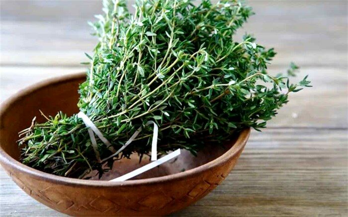 خواص آویشن برای ریه، موها، حافظه و درمان سرفه