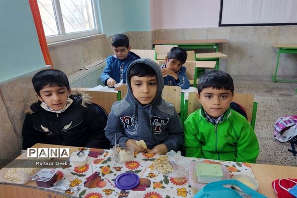 روز غذای سالم در دبستان ولی‌محمدی صفادشت