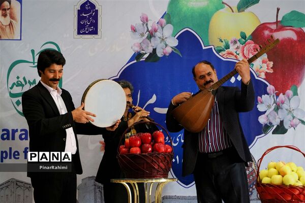 برگزاری جشنواره سیب مراغه