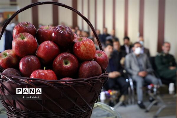 برگزاری جشنواره سیب مراغه