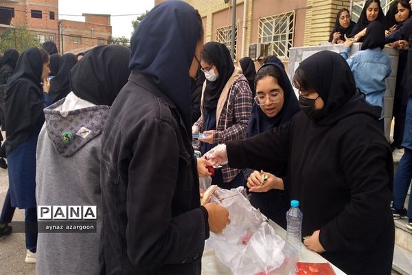 جشنواره دانش‌آموزی کارآفرینی در قائمشهر