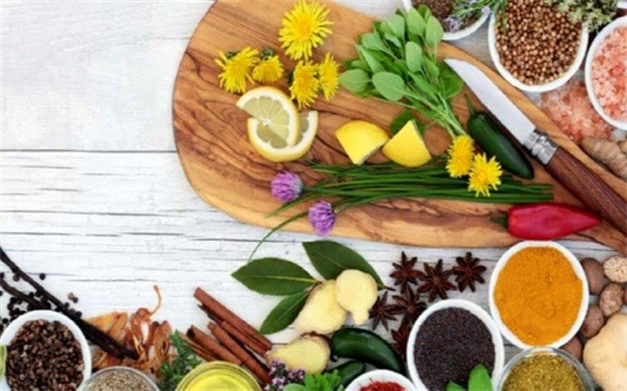 ششمین نمایشگاه گیاهان دارویی آغاز به‌کار کرد