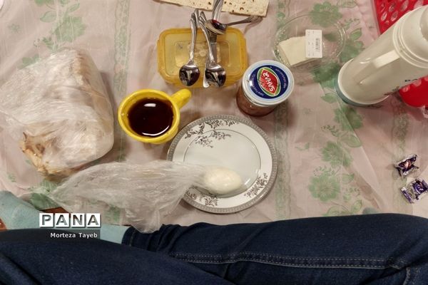 روز غذای سالم در دبستان برکت رضوی ملارد