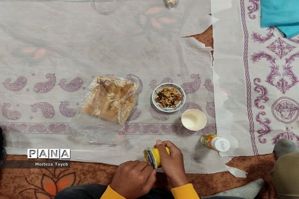 روز غذای سالم در دبستان برکت رضوی ملارد