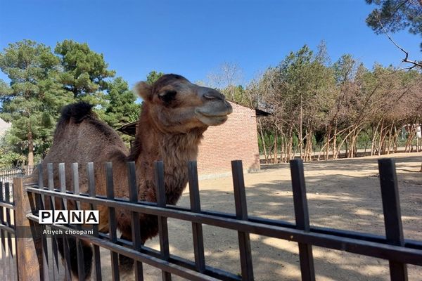 آشنایی با مجموعه تفریحی دریاچه چیتگر