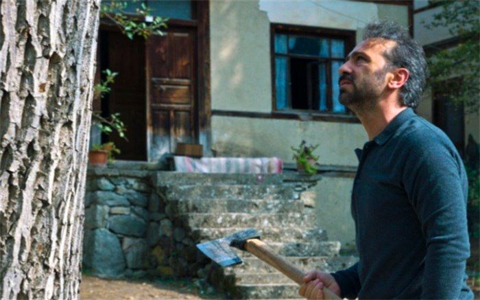 خشونت در بخش کاملا ناخودآگاه رشد می‌کند