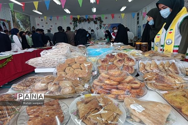 نمایشگاه پدافند غیرعامل در هامون