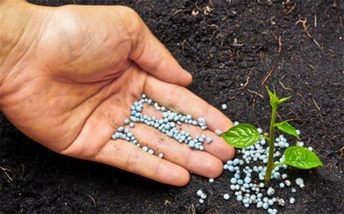 صدور ۱۱۴۰ شماره ثبت کیفیت برای برند کودهای کشاورزی از ابتدای سال تا شهریور