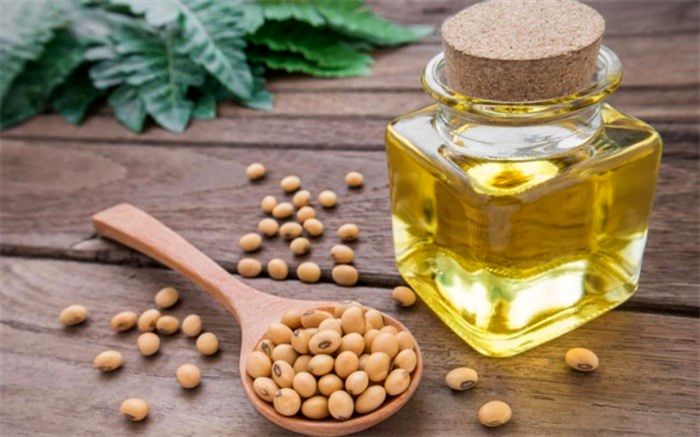 فواید سویا برای کاهش وزن، تامین رطوبت پوست و مقابله با سرطان