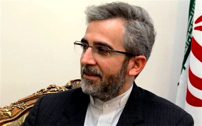 کشورهای مستقل برای استفاده از ظرفیت نهادهای بین‌المللی برنامه داشته باشند