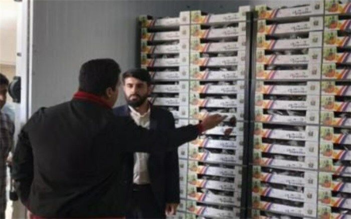 صادرات محصولات کشاورزی بخش جوادآباد شهرستان ورامین به کشور روسیه