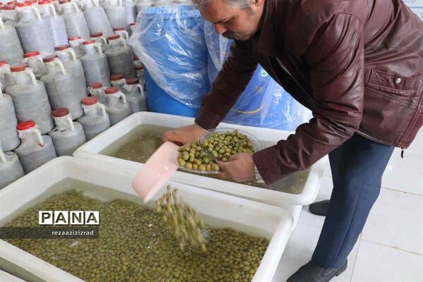 توان‌مندی‌های شهرستان شبستر در بخش کشاورزی