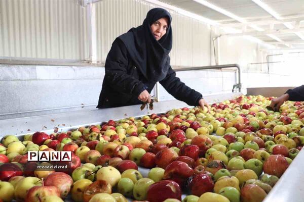 توان‌مندی‌های شهرستان شبستر در بخش کشاورزی