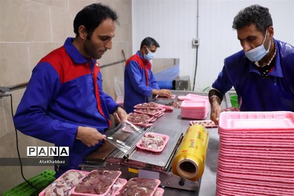 کشتارگاه مرغ مرند