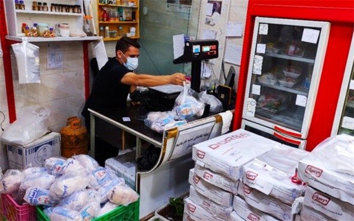 ‌روند کاهشی قیمت مرغ ادامه خواهد داشت؟