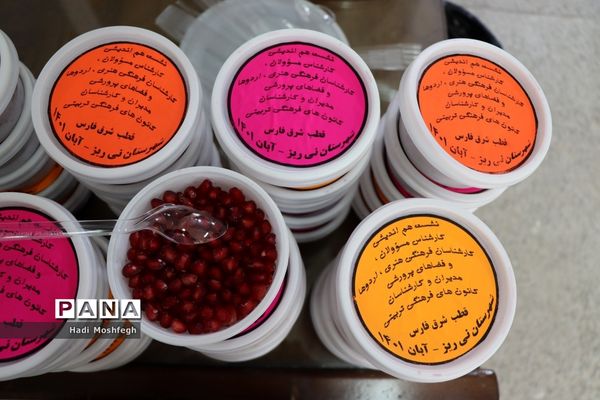 برگزاری نشست قطبی اداره فرهنگی هنری، اردوها و فضاهای پرورشی فارس