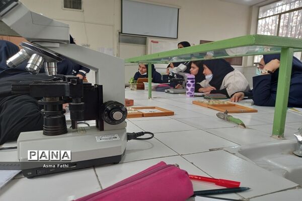 بازدید دانش‌آموزان دبیرستان علامه‌طباطبایی از پژوهش‌سرای رازی