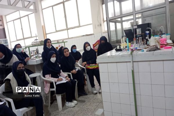 بازدید دانش‌آموزان دبیرستان علامه‌طباطبایی از پژوهش‌سرای رازی