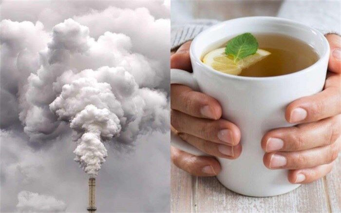 بهترین و بدترین خوراکی‌ها در زمان آلودگی هوا