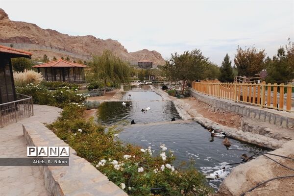 اردوی دانش‌آموزان شاهد رضویان قم در باغ پرندگان