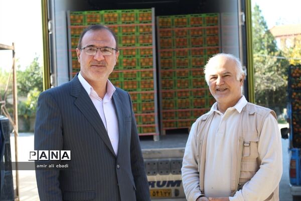 بازدید از واحدهای بسته‌بندی و صادرات مرکبات در میاندورود