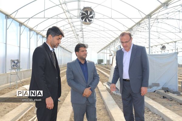 بازدید از واحدهای بسته‌بندی و صادرات مرکبات در میاندورود