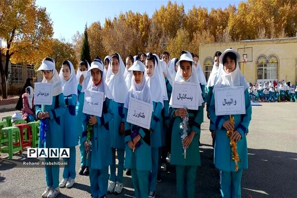 برگزاری المپیاد ورزشی درون‌مدرسه‌ای با طعم کتاب در مدارس آباده