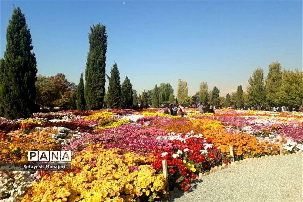 اردوی تفریحی، علمی بر اساس ساحت زیبایی شناختی و هنری