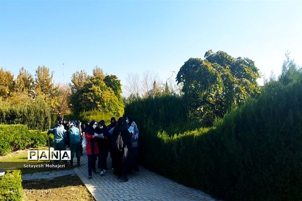 اردوی تفریحی، علمی بر اساس ساحت زیبایی شناختی و هنری