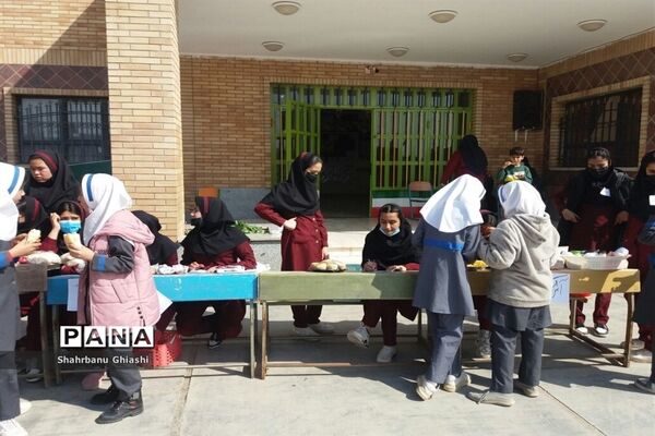 اجرای طرح میهمان و میزبان در شهرستان آرادان