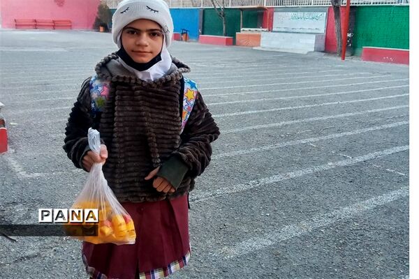 اهداء ویلچر به دانش‌آموز معلول مدرسه استثنایی در شهرقدس
