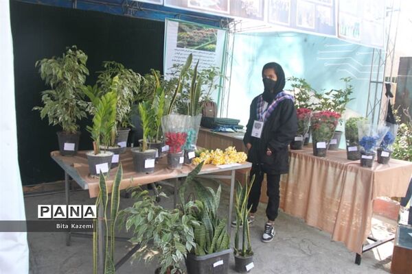 برگزاری جشنواره دست‌آوردهای دانش‌آموزی کانون‌های فرهنگی‌تربیتی شهرستان‌های استان تهران در کانون سمیه شهرری