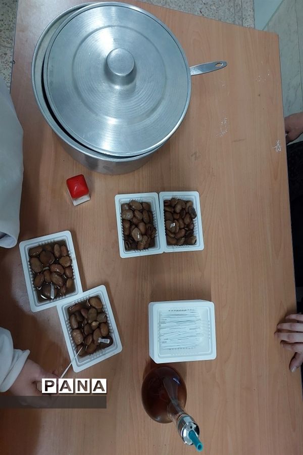 برگزاری بازارچه کسب‌و‌کار در مدارس منطقه ایجرود