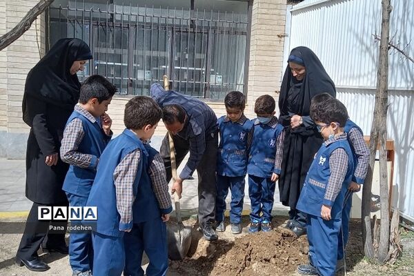 آیین روز درختکاری در مدارس رودهن