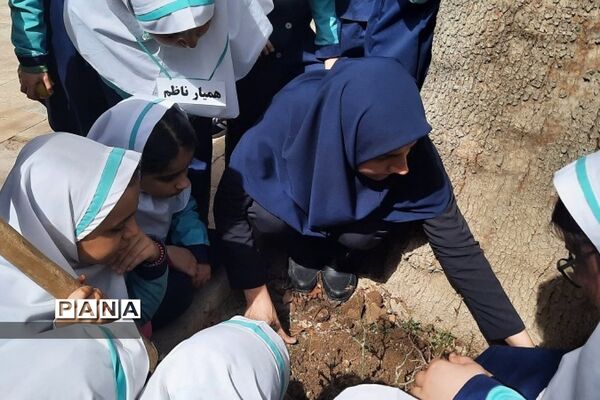 آیین روز درختکاری در مدارس رودهن