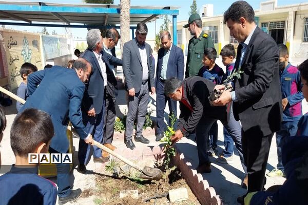 گرامیداشت روز درختکاری  با حضور معاون تربیت‌بدنی اداره‌کل آموزش و پرورش