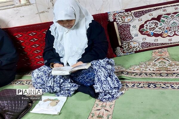 جشن میلاد حضرت علی‌اکبر(ص) در ملارد