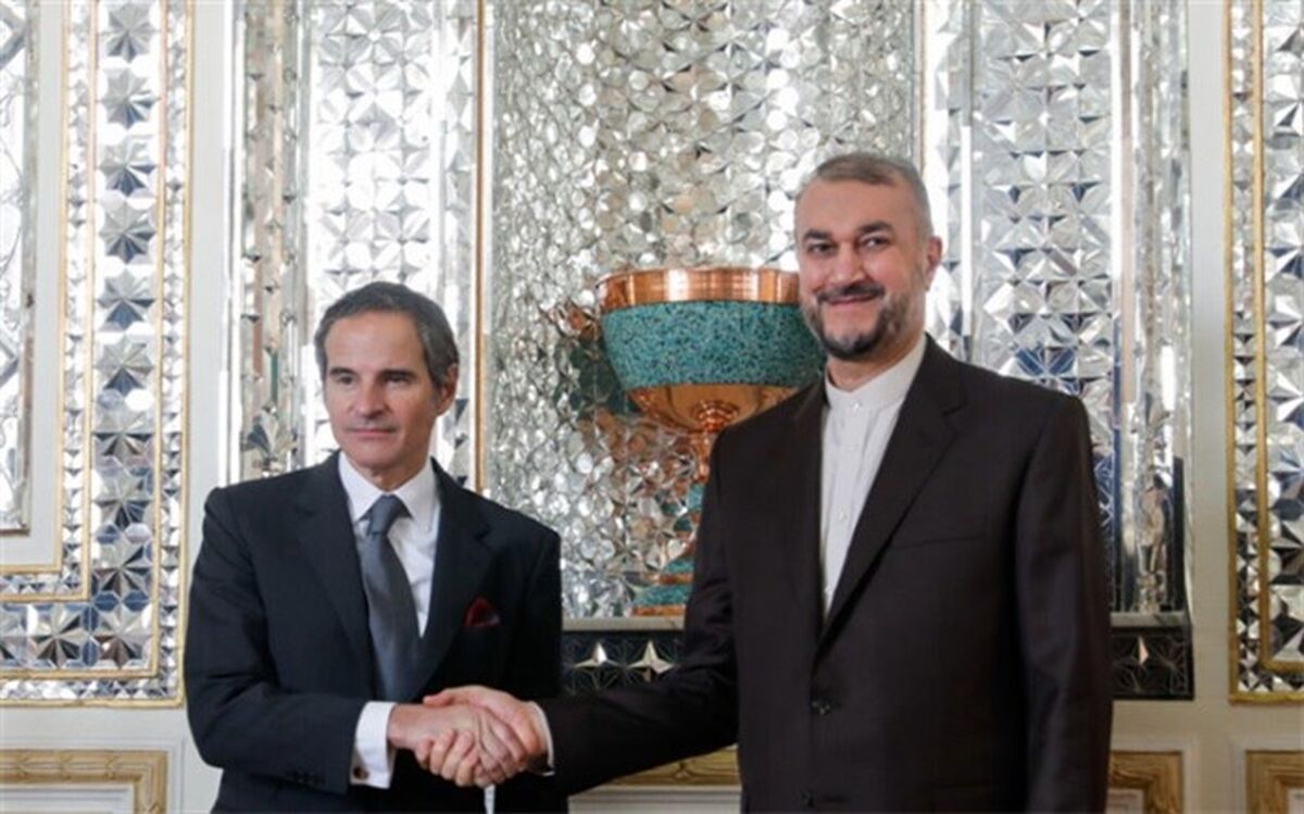 گروسی با امیرعبداللهیان دیدار می‌کند