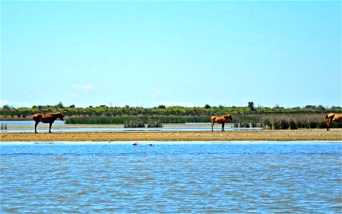 3 چالش مهم در اجرای طرح گردشگری «آشوراده»