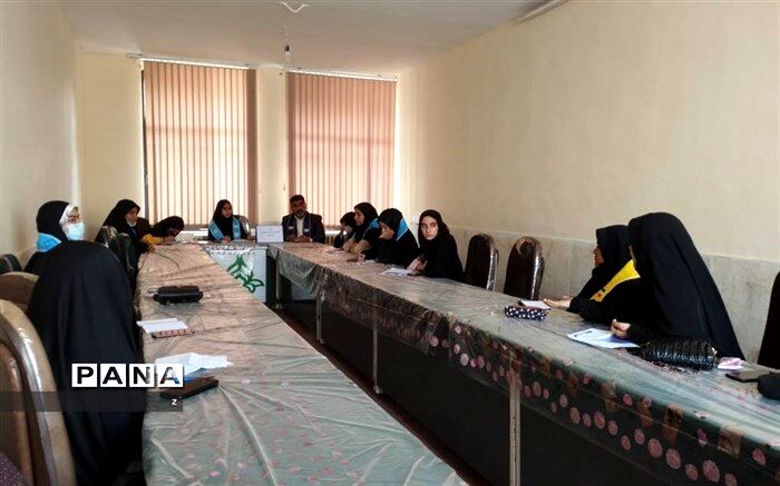 مجلس دانش‌آموزی یکی از ارکان مهم و سرنوشت‌ساز در سازمان دانش‌آموزی  است