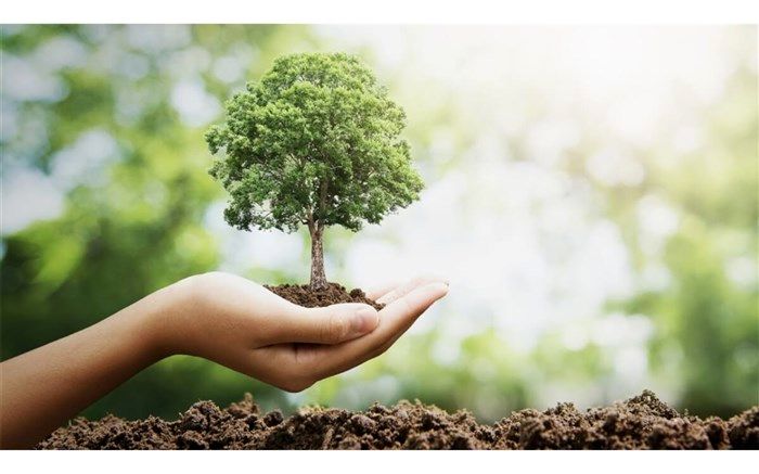 کاشت درخت و حفاظت از جنگل‌ها و منابع طبیعی در دستور کار است