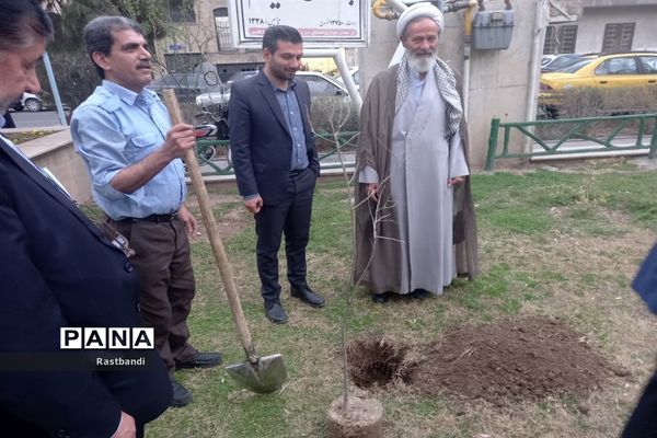 کاشت نهال به یاد شهید محمدرضا کرم در منطقه ۱۳