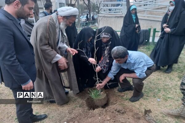 کاشت نهال به یاد شهید محمدرضا کرم در منطقه ۱۳