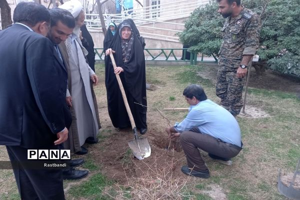 کاشت نهال به یاد شهید محمدرضا کرم در منطقه ۱۳