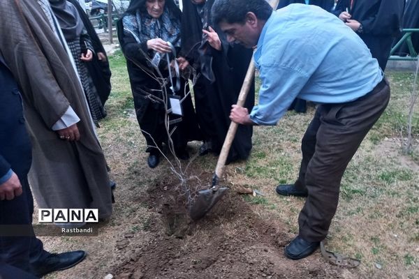 کاشت نهال به یاد شهید محمدرضا کرم در منطقه ۱۳