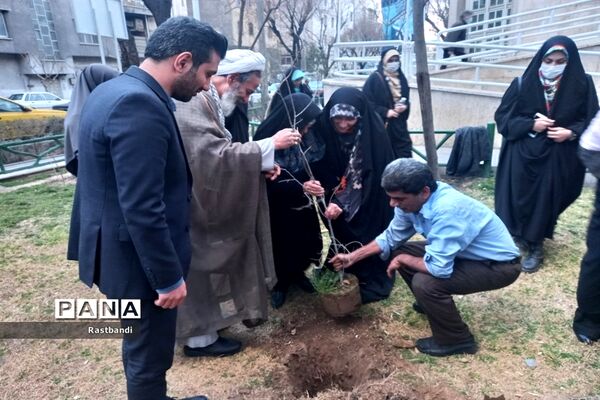 کاشت نهال به یاد شهید محمدرضا کرم در منطقه ۱۳
