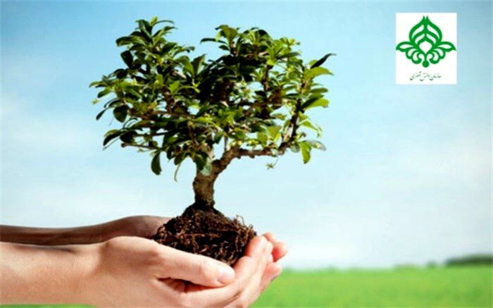 دانش‌آموزان در روز درختکاری، دوستی با طبیعت را می‌آموزند