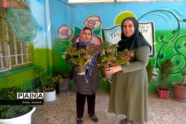 کاشت نهال در مدارس شهید همت و شکوفه‌های دانش ملارد